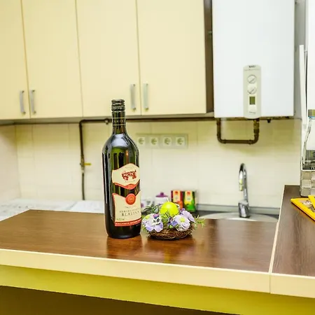 Cozy One Step From Cathedral - Best Location Daire Saraybosna